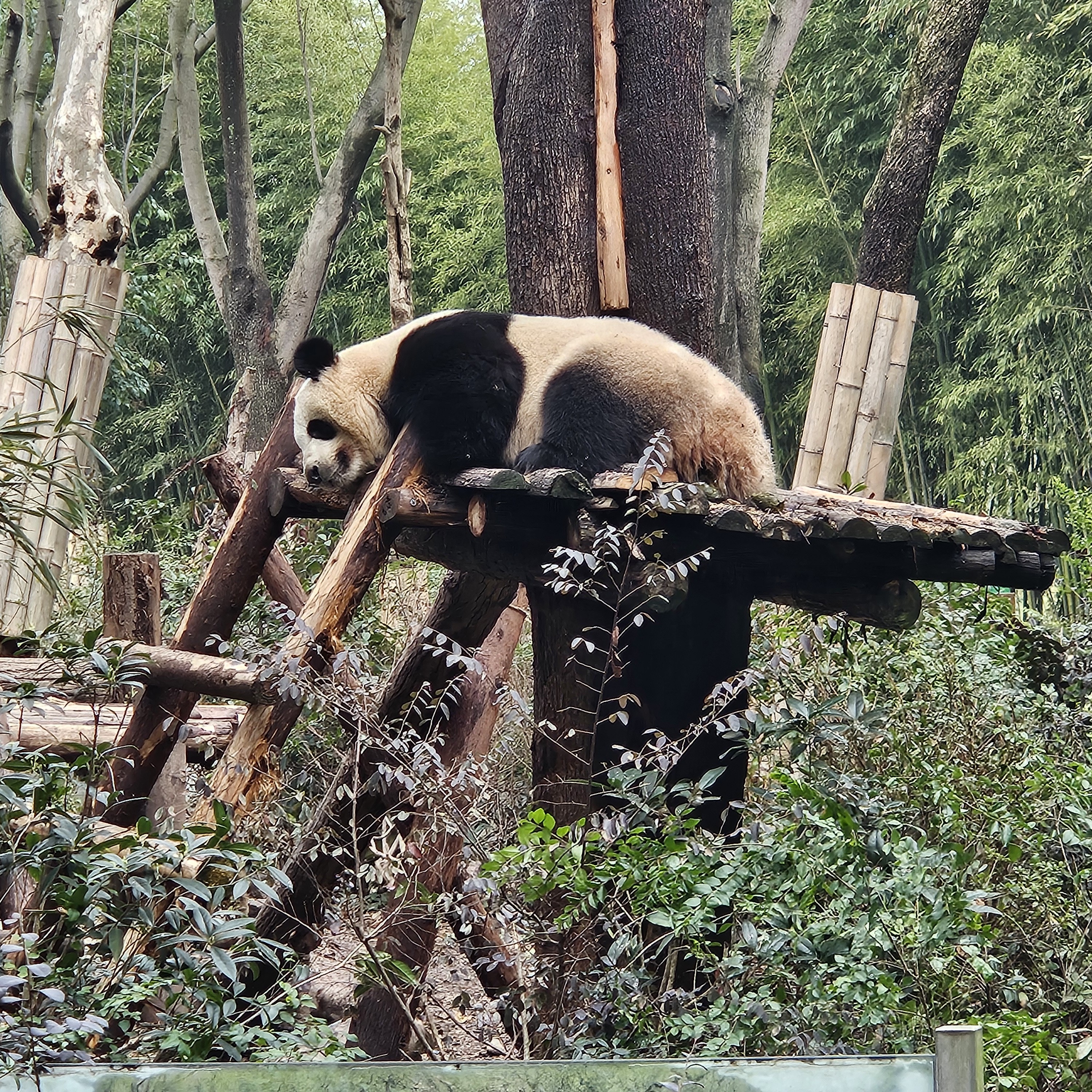 एवीसीटीआर